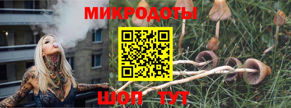 Псилоцибиновые грибы GOLDEN TEACHER Ярцево